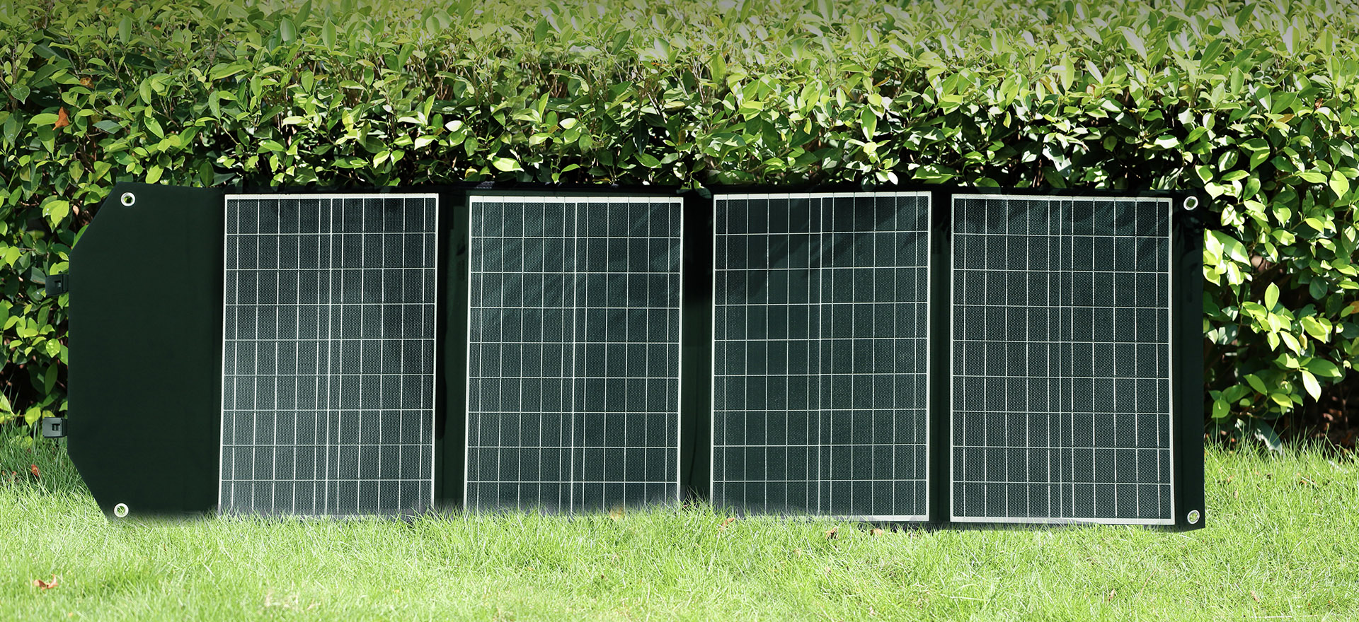 60 Watt Solar Panel